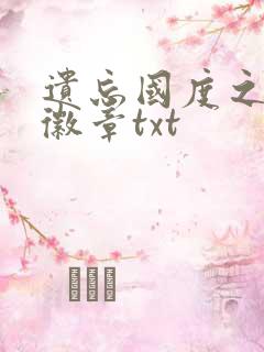 遗忘国度之神秘徽章txt