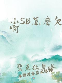 小SB怎么欠C啊
