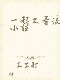 一起又看流星雨小说