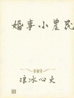 婚事小农民