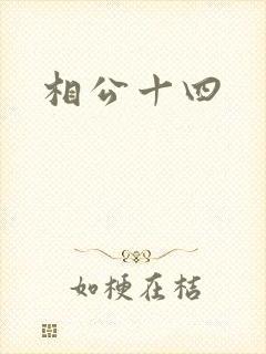 相公十四