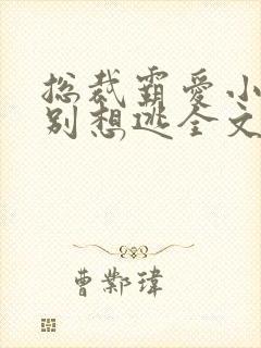 总裁霸爱小娇妻别想逃全文阅读免费