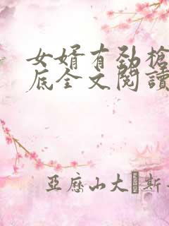 女婿有劲枪枪到底全文阅读