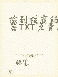 捡到校霸的遥控器TXT免费阅读