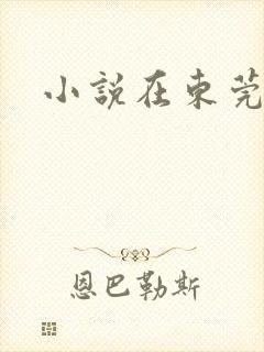 小说在东莞