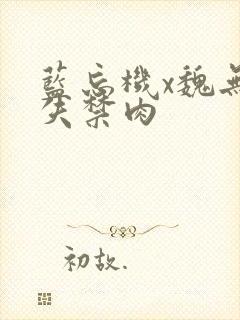 蓝忘机x魏无羡失禁肉