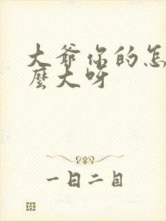 大爷你的怎么这么大呀