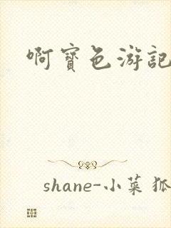 啊宝色游记