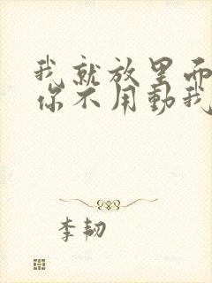 我就放里面不动你不用动我动