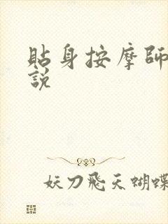 贴身按摩师 小说