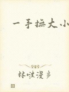 一手抚大小说