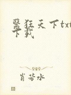 医狂天下txt下载