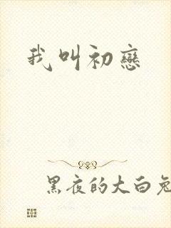 我叫初恋