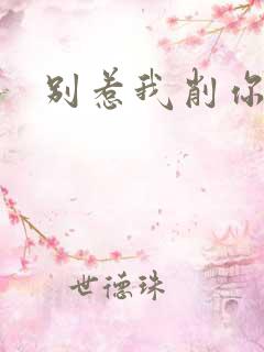 别惹我削你