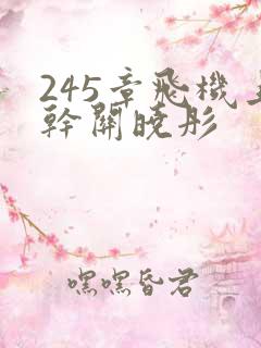 245章飞机上干关晓彤