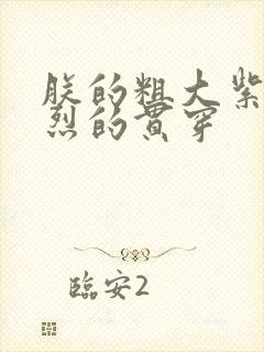 朕的粗大紫红猛烈的贯穿