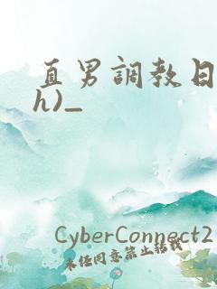 直男调教日记(h)_