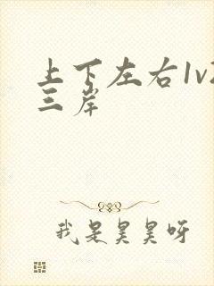 上下左右1v2三岸