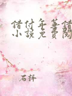 错付年华错付情小说免费阅读