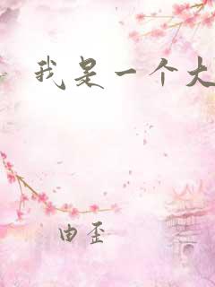 我是一个大盗贼