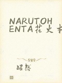 NARUTOHENTA花火本子