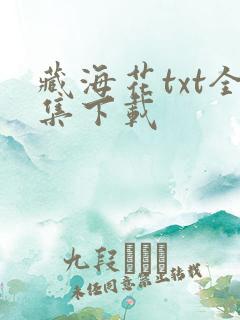 藏海花txt全集下载