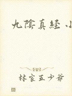 九阴真经 小说