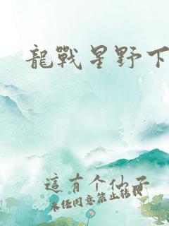 龙战星野下载