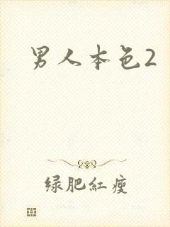 男人本色2