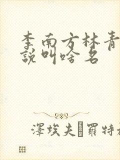 李南方林青青小说叫啥名
