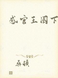感官王国下载