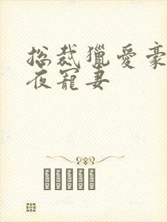 总裁猎爱豪门一夜宠妻