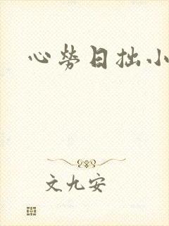 心劳日拙小说