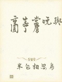 重生当晚与军夫圆了房