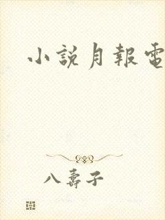 小说月报电子版