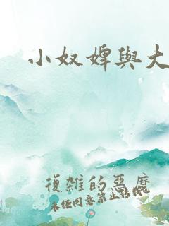 小奴婢与大少爷