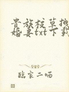 贵族校草拽拽未婚妻txt下载