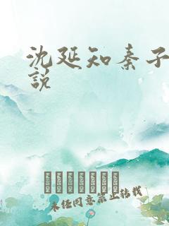 沈延知秦子卿小说