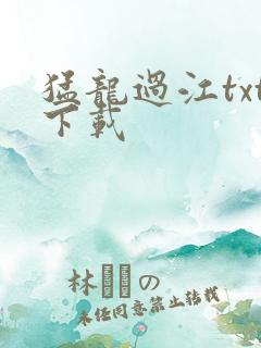 猛龙过江txt下载