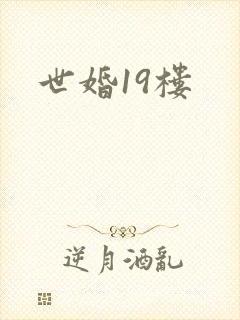 世婚19楼