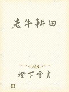老牛耕田