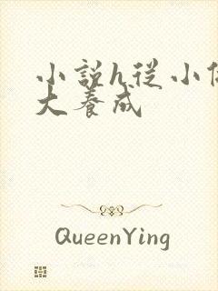 小说h从小做到大养成