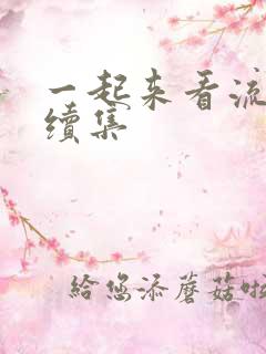 一起来看流星雨续集