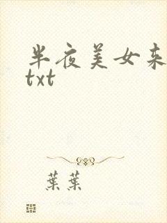 半夜美女来敲门txt