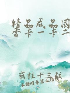 精品成品国色天香卡一卡二摄像头