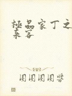 极品家丁之远方来客