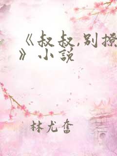 《叔叔,别撩我》小说