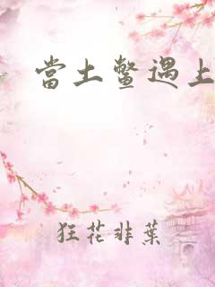 当土鳖遇上海龟