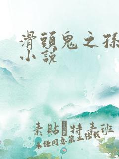 滑头鬼之孙官方小说