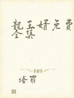 龙王婿免费完结全集